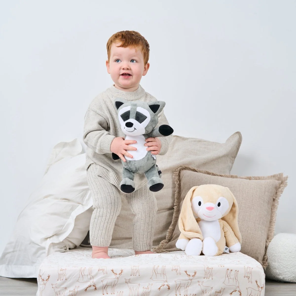 Big Bestie - Bandit the Raccoon - Image 5