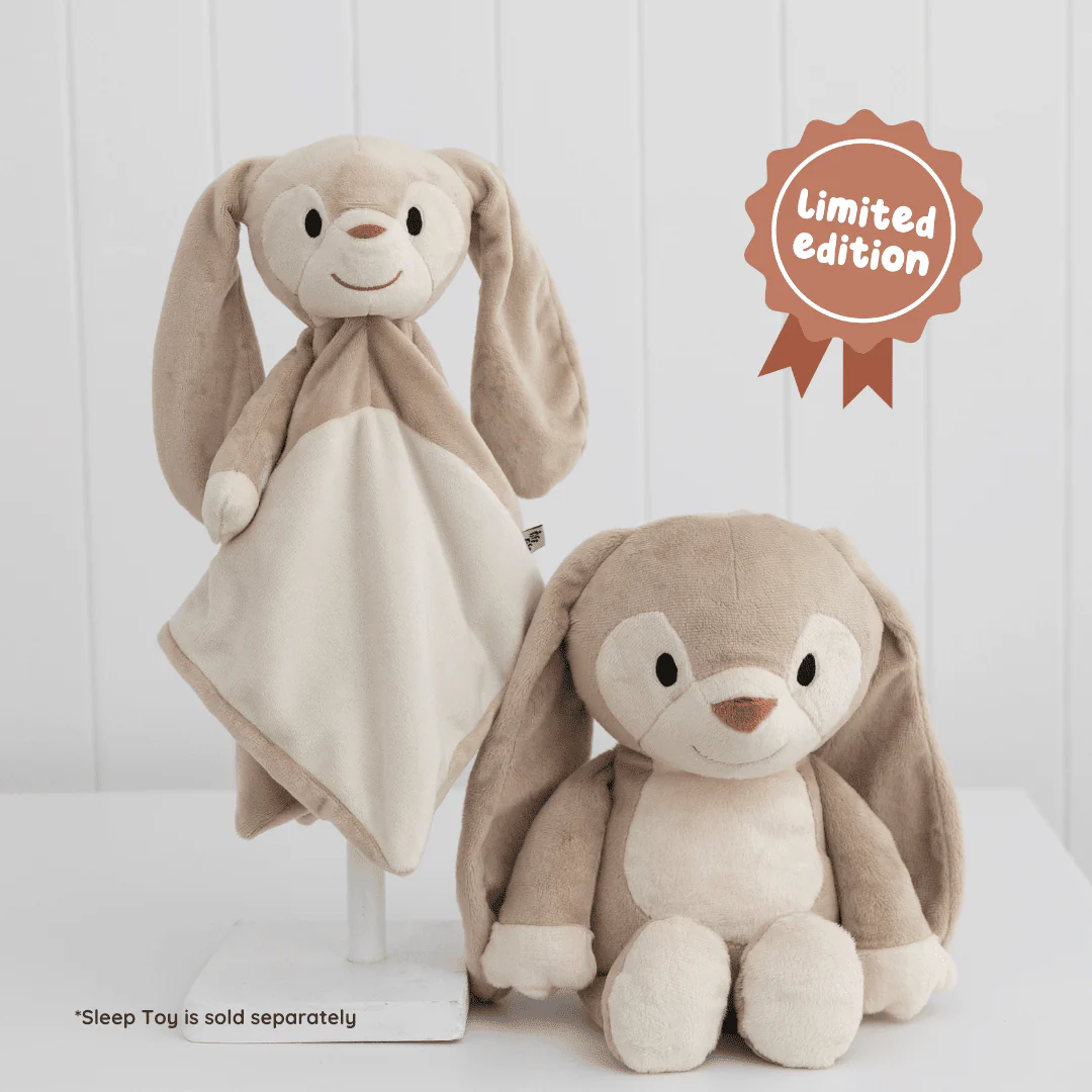 Big Bestie - Cinnamon the Bunny - Image 4