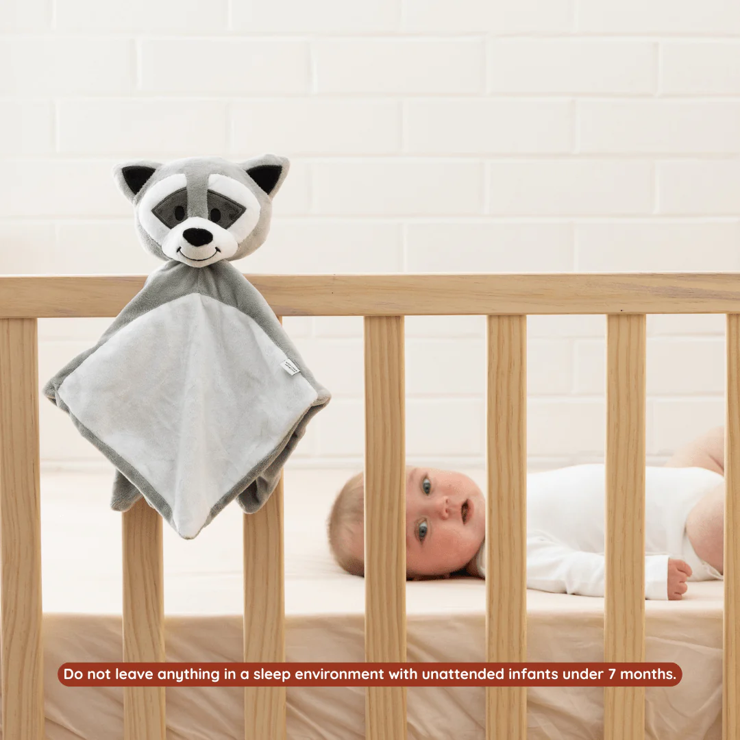 Sleep Toy - Bandit The Raccoon - Image 7